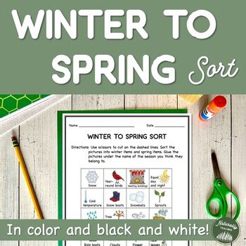 Image result for Sort Spring Worksheet
