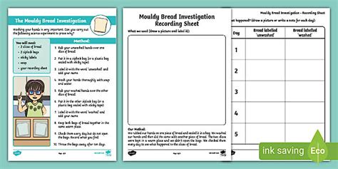 KS1 Hygiene Science Investigation: Mouldy Bread Activity