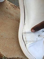 Trend low-top Casual Shoes (White, 8) : Amazon.in: Shoes & Handbags