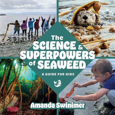 Seaweed vs Kelp: What's the difference? - Get Kelp
