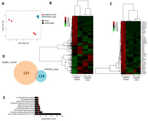 Patient iPSC-Derived Macrophages to Study Inborn Errors of the IFN-γ ...