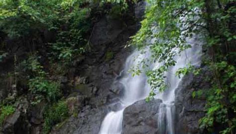 AMBIL SEKARANG