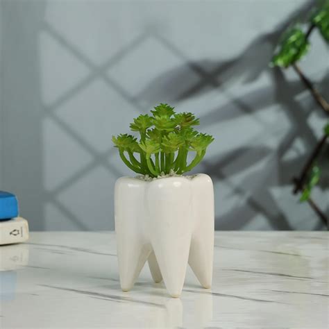 Cute Tooth Shaped Ceramic Planter with Artificial Succulent, White ...