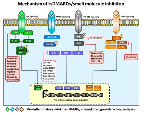 Small Molecule Inhibitors in the Treatment of Rheumatoid Arthritis and ...
