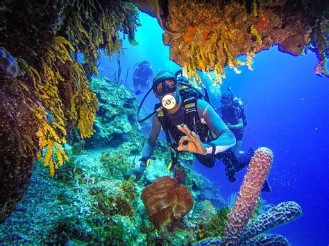 Catalina Island scuba diving excursion in the Dominican Republic
