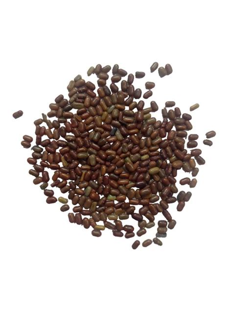 Dhaincha Grass - Open Pollination Seeds – seed and plant