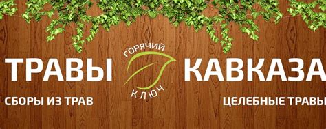 "ТРАВЫ КАВКАЗА" Приморско-Ахтарск | Официальная группа компании ‘’ТРАВЫ ...