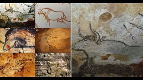 Sticks, stars, sickness: How early charts plotted the way we were