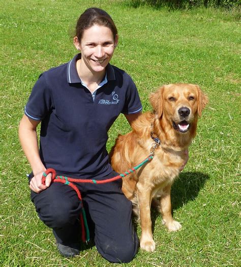 Dog Trainer Salary