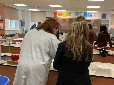 Image result for IB Student Collaborative Project