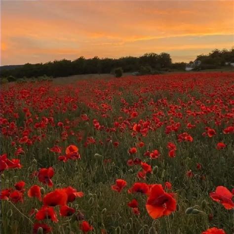 | Quotes & Writings by Aesthetic Thoughts | YourQuote