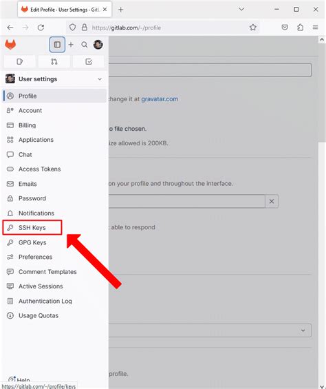 Image result for SSH Key GitLab Windows