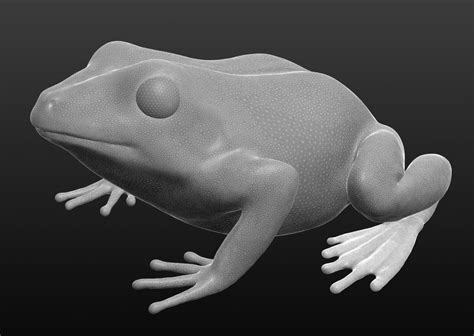 Image result for Frog Mesh Tutorial Maya