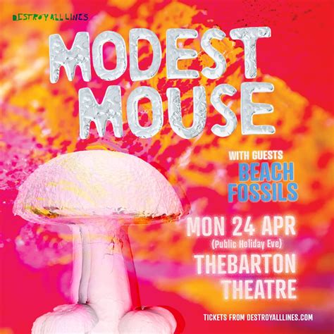 Modest Mouse Live Performances 的图像结果