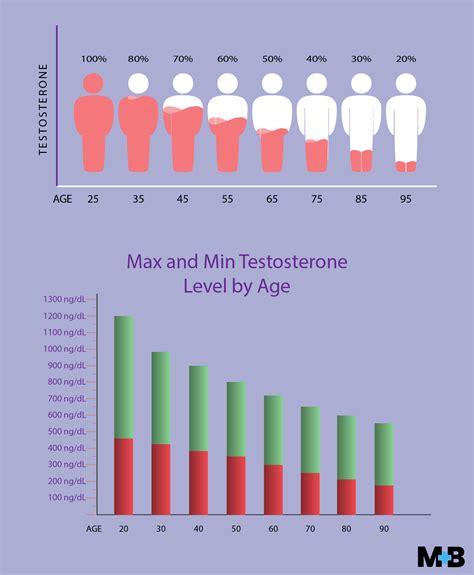 12 Testosterone Level Statistics, Graphs, And Figures