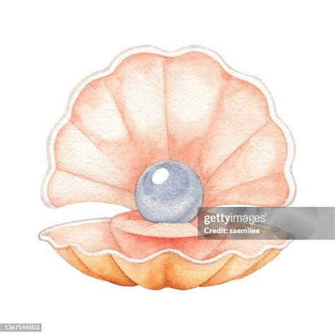 Draw Pearl Shell 的图像结果