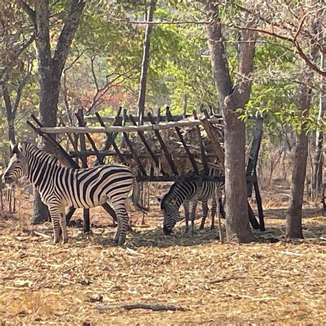 BUSHMAN ROCK (Harare) - Guesthouse Reviews & Photos - Tripadvisor