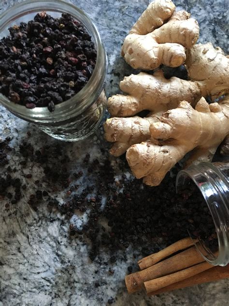 Homemade Elderberry Syrup - Nicole Jaques