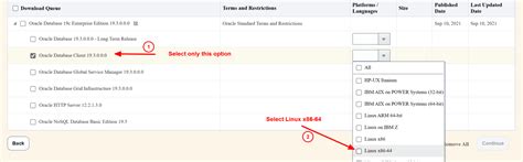 Oracle Client 19C 的图像结果