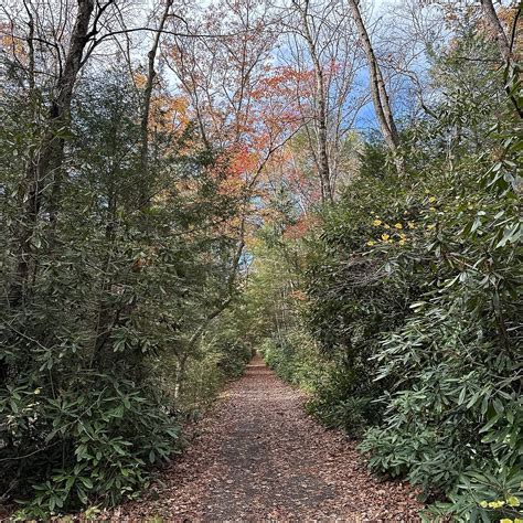 JIM THORPE CAMPING RESORT - Campground Reviews & Photos - Tripadvisor