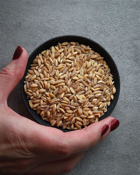 How To Cook Farro In A Rice Cooker - A Red Spatula