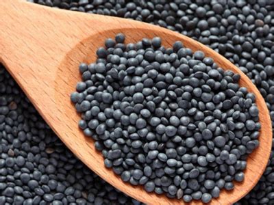 Kalu Ram Jain & Sons