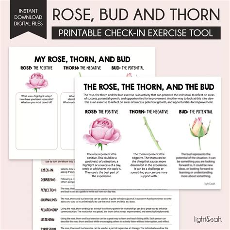 Rose, Thorn and Bud Exercise, Communication Skills Check-In Tool ...