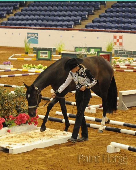 In Hand Trail Patterns 的图像结果