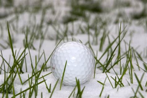 Image result for Winter Golf Exercise Programs