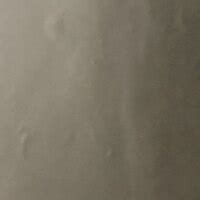 [Resolved] Asian Paints — Painting at residence