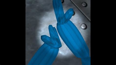 Image result for Creepy Gtag Loading Screen