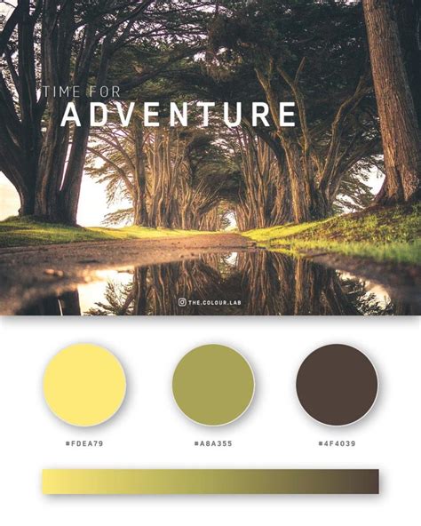 Color Design 的图像结果