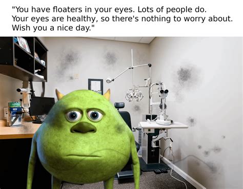 Image result for Eye Floaters Meme