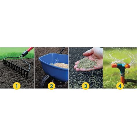 Schultz Supreme Selections Supreme Selections 20-lb Perennial Ryegrass ...