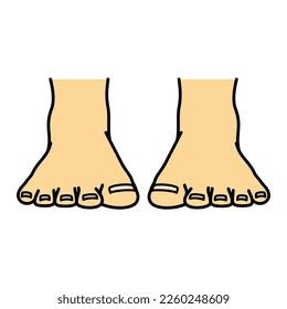 Image result for Front View of Toe