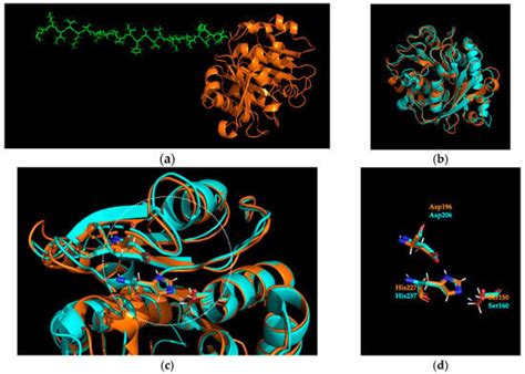 Biochemical Characterisation of Sis: A Distinct Thermophilic PETase ...