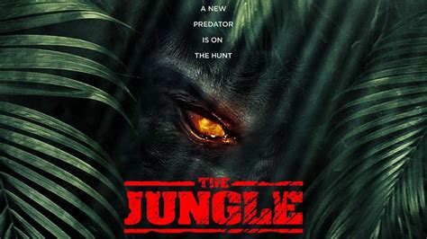 Watch The Jungle (2012) Full Movie Online - Plex