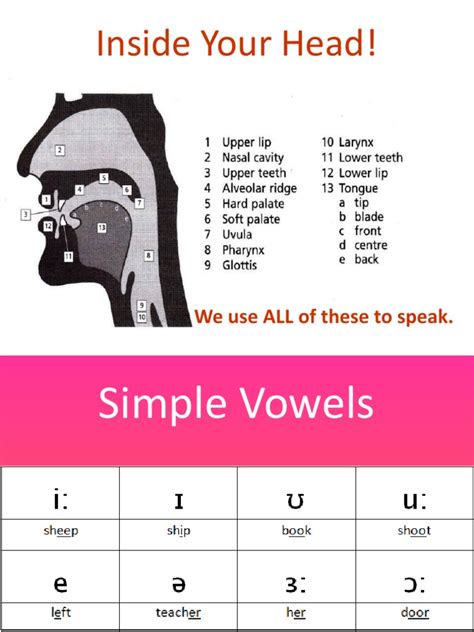 Spoken Language 的图像结果