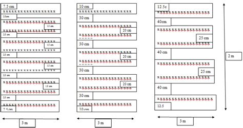 Image result for Contralateral Rows