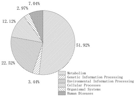 Naphthalene Enhances Polycyclic Aromatic Hydrocarbon Biodegradation by ...