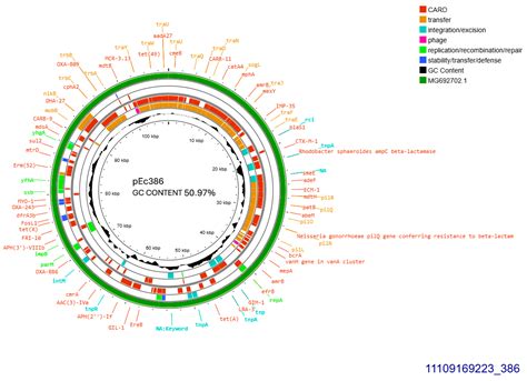Molecular Characterization of Extended-Spectrum ß-Lactamases-Producing ...
