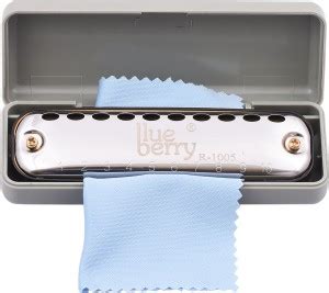 BLUEBERRY R-1005 Diatonic Blues Harmonica Key of C 10 Holes Diatonic ...