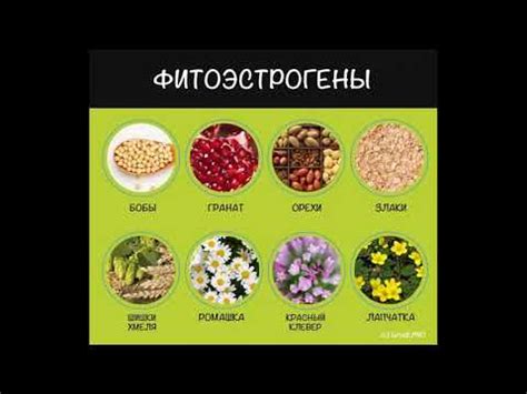 Эстрогены в продуктах питания: список трав, таблица продуктов (6 видео)
