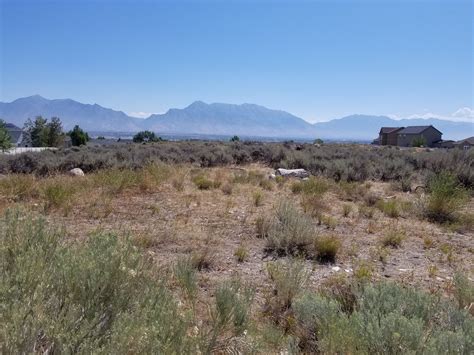 Nature Park 的图像结果