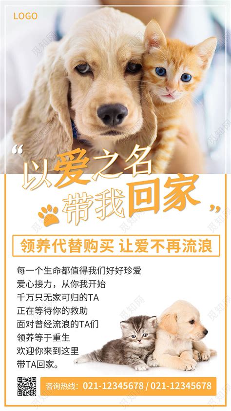 黄色清新简约小宠物领养宠物手机文案海报图片下载 - 觅知网