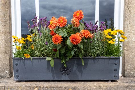 Image result for Window Box