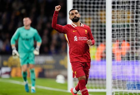 Image result for Wolves Live Today