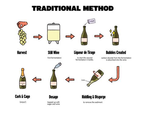 Wine Fermentation Process 的图像结果