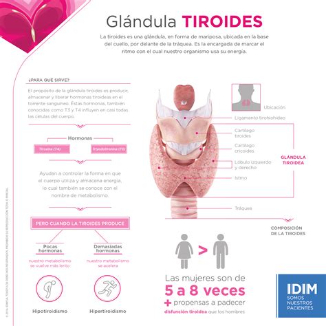 Tiroides En Mujeres