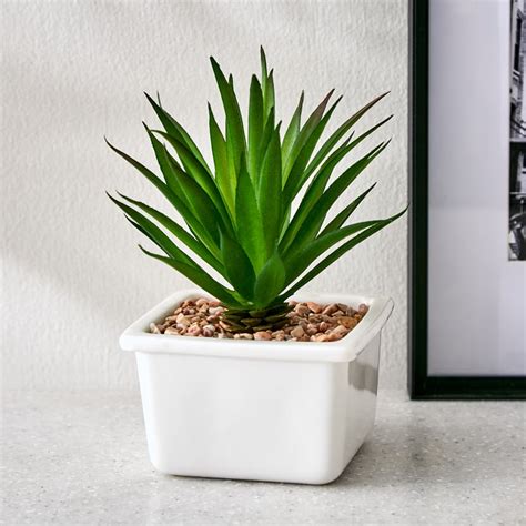 Buy Fiesta Artificial Succulent in Ceramic Pot from Home Centre at just ...
